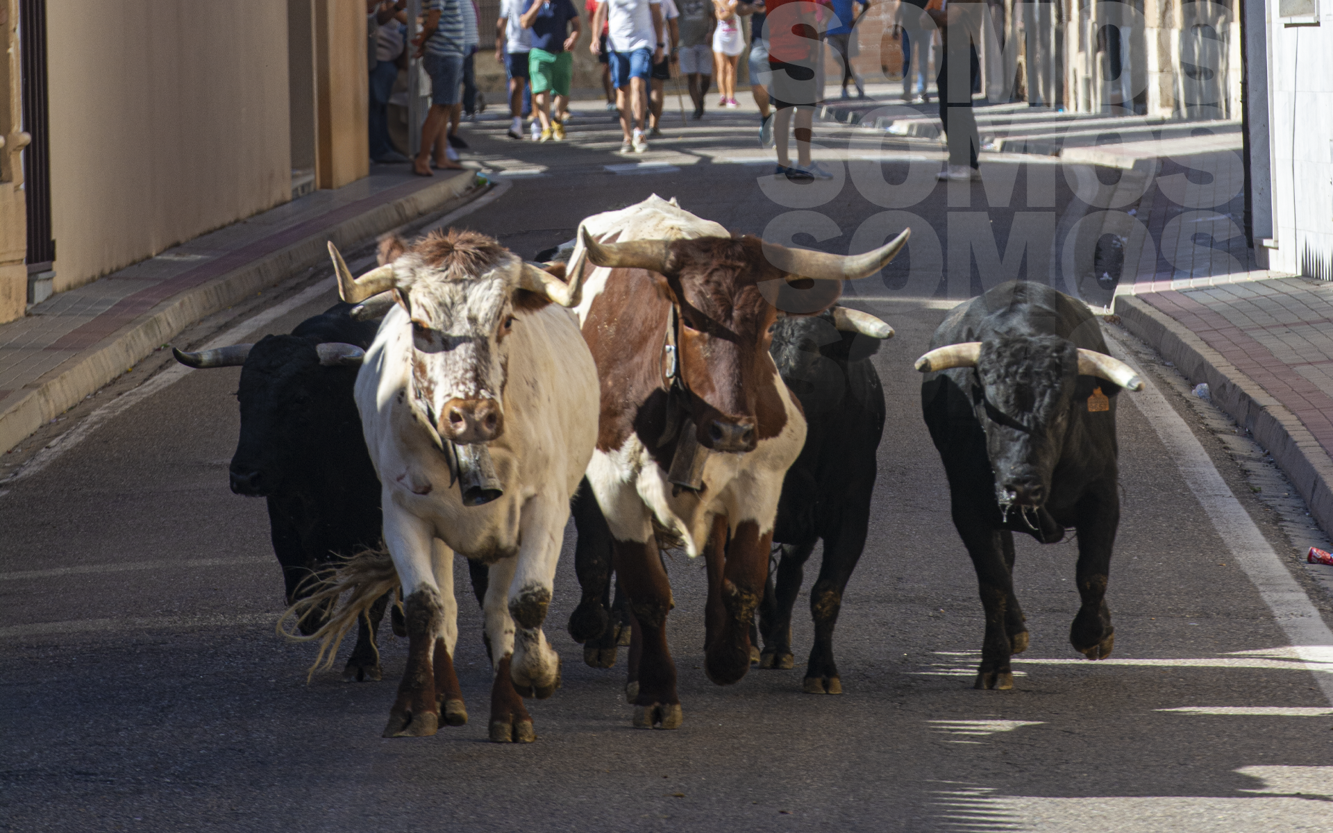 LA FIESTA Y EL TIEMPO